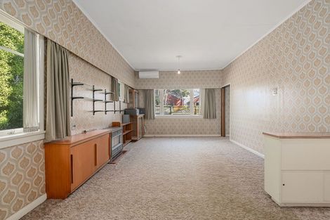 Photo of property in 26 Galloway Street, Hamilton East, Hamilton, 3216