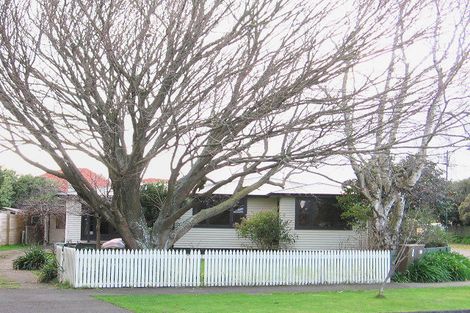 Photo of property in 91 Fitzroy Street, Terrace End, Palmerston North, 4410