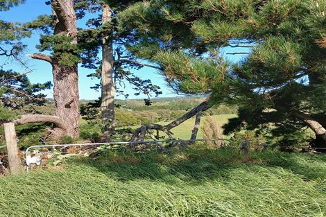 Photo of property in 88 Rapson Road, Kaukapakapa, 0871