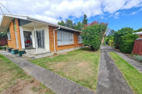 Photo of property in 53a Fitzroy Avenue, Fitzroy, Hamilton, 3206
