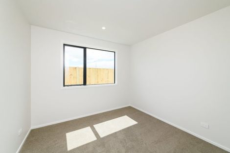 Photo of property in 40 Ashford Avenue, Hokowhitu, Palmerston North, 4410
