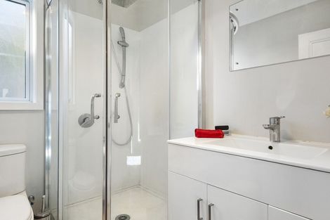 Photo of property in 17 Mechanic Street, North East Valley, Dunedin, 9010