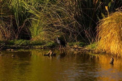 Photo of property in 5 Ridgetop Rise, Fairhall, Blenheim, 7272