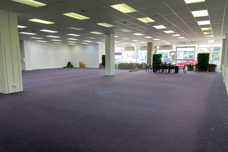 Photo of property in Marion Square Apartments, 3/26 Marion Street, Te Aro, Wellington, 6011