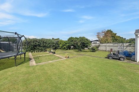 Photo of property in 68 Kennedy Drive, Levin, 5510