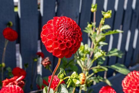 Photo of property in 70 Great South Road, Huntly, 3700