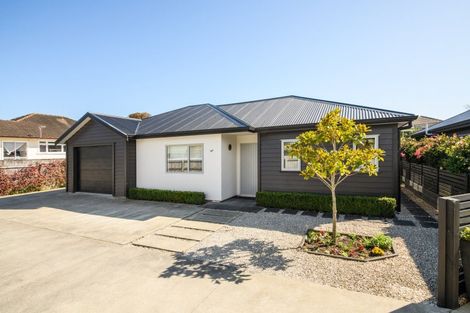 Photo of property in 83b Fitzroy Street, Terrace End, Palmerston North, 4410