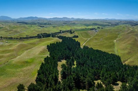 Photo of property in 363 Caseys Road, Lake Grassmere, Seddon, 7285