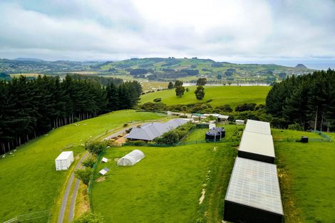Photo of property in 199 Old Brighton Road, Fairfield, Dunedin, 9076