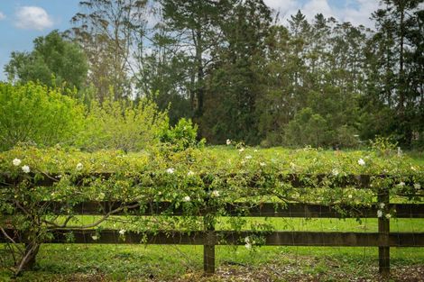 Photo of property in 1272 Pipiwai Road, Ruatangata West, Whangarei, 0176