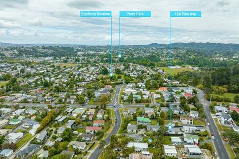 Photo of property in 16a Pine Avenue, Henderson, Auckland, 0612