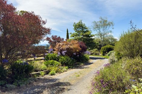 Photo of property in 91 Skeets Road, Upper Plain, Masterton, 5888