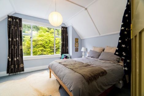 Photo of property in 3 Littlebourne Road, Roslyn, Dunedin, 9010