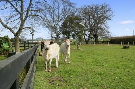Photo of property in 9 Pond Road, Matamata, 3472
