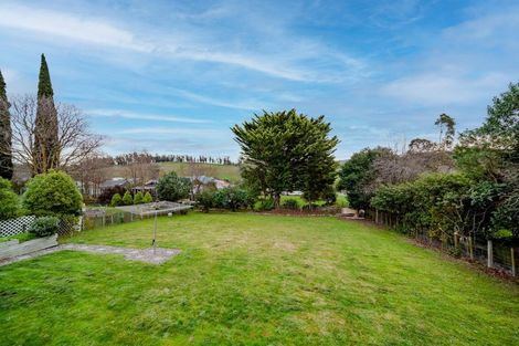 Photo of property in 24 Eagle Street, Waipawa, 4210