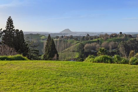 Photo of property in 80b Neewood Road, Ohauiti, Tauranga, 3173