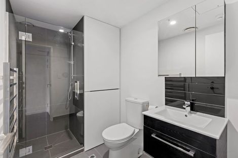 Photo of property in Alpha Apartments, 202/4 Elizabeth Street, Mount Victoria, Wellington, 6011