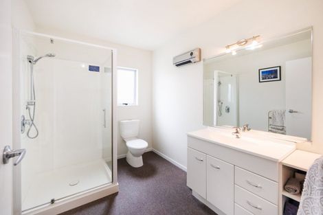 Photo of property in 45b Sherwill Street East, Feilding, 4702