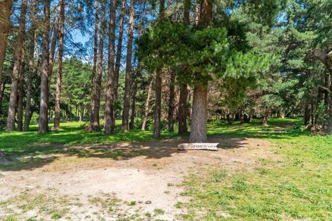 Photo of property in 839 Whangaehu Valley Road, Whangaehu Valley, Masterton, 5886