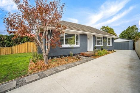Photo of property in 11a Palmside Street, Somerfield, Christchurch, 8024