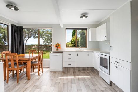 Photo of property in 31 Lake View Street, Waihola, Milton, 9073