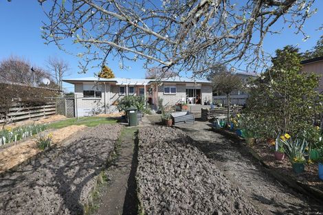 Photo of property in 17 Pirinoa Street, Feilding, 4702