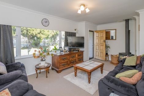 Photo of property in 13 Lemon Street, Otaki, 5512