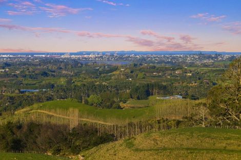 Photo of property in 252 Whakamarama Road, Whakamarama, Tauranga, 3179