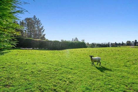 Photo of property in 53 Burnsdale Drive, Ngongotaha Valley, Rotorua, 3072