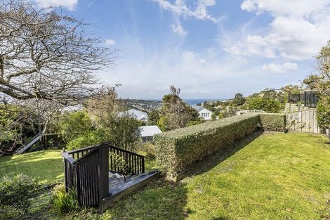 Photo of property in 121 The Ridgeway, Mornington, Wellington, 6021