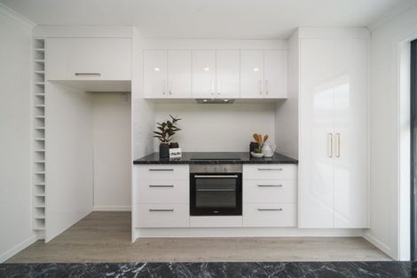 Photo of property in 27b Tyne Street, Roslyn, Palmerston North, 4414