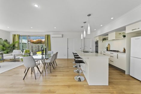 Photo of property in 17 Joyce Place, Richmond, 7020