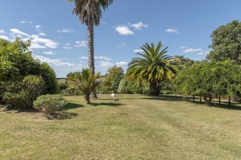 Photo of property in 1d Warner Road, Oropi, Tauranga, 3173