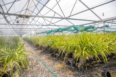 Photo of property in 69 Stone Wall Rise, Maungatapere, Whangarei, 0179