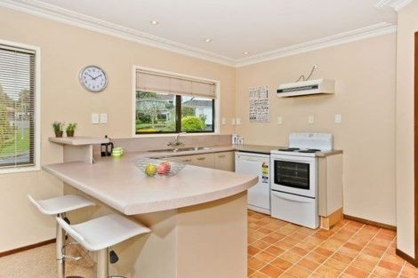 Photo of property in 40 Mcmeekan Avenue, Chartwell, Hamilton, 3210