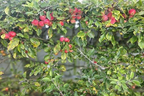 Photo of property in 21 Signal Street, Marton, 4710