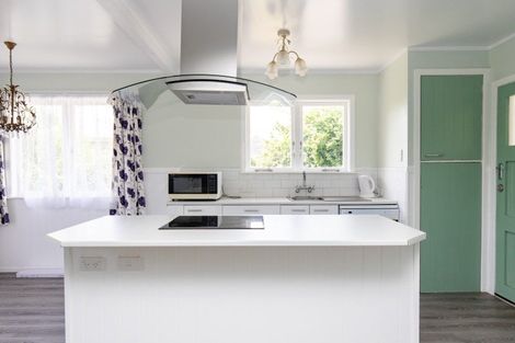 Photo of property in 21 Hayward Road, Ngatea, 3503