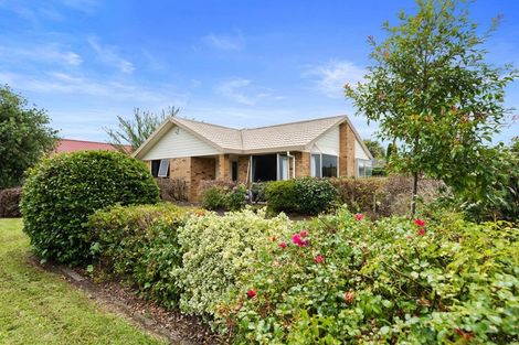 Photo of property in 1 Commodore Avenue, Flagstaff, Hamilton, 3210