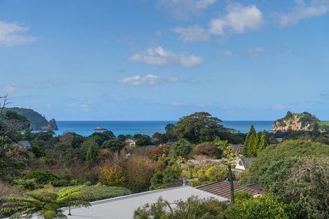Photo of property in 39 Grange Road, Hahei, Whitianga, 3591