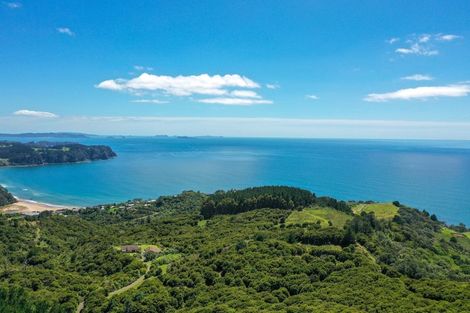 Photo of property in 425m Boat Harbour Road, Whenuakite, Whitianga, 3591