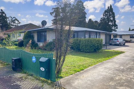 Photo of property in 72a Cole Street, Dannevirke, 4930