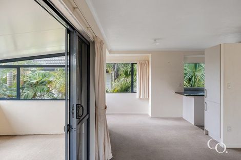 Photo of property in 19 Matawha Way, Brookfield, Tauranga, 3110