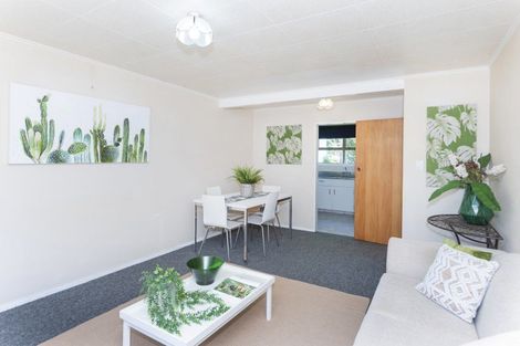Photo of property in 40c Winter Street, Mangapapa, Gisborne, 4010