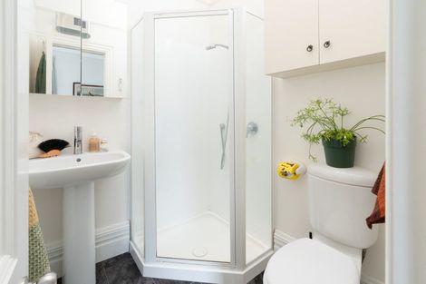 Photo of property in 30 Buller Street, Te Aro, Wellington, 6011