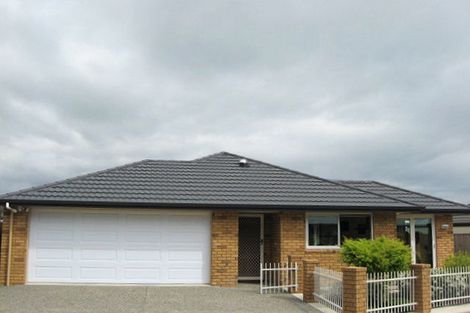 Photo of property in 1 Romano Way, The Wood, Nelson, 7010