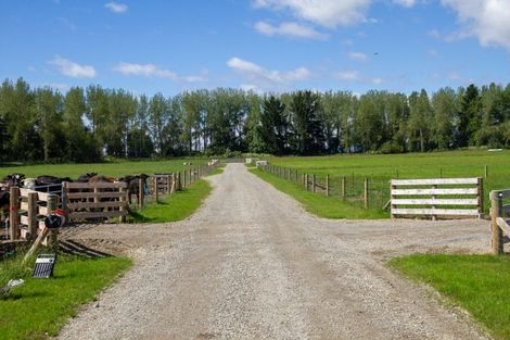 Photo of property in 141 Nixons Road, Fairlie, 7987