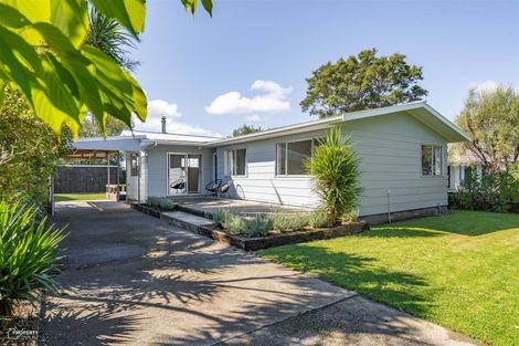 Photo of property in 22 Ballance Street, Masterton, 5810