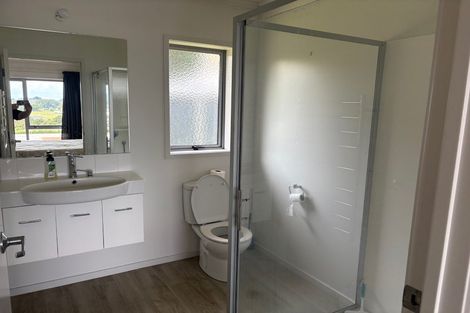 Photo of property in 373 Picquet Hill Road, Te Awamutu, 3800