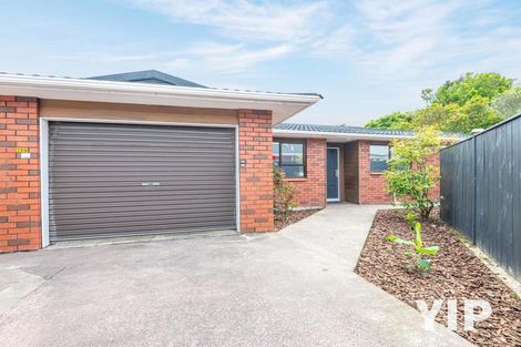 Photo of property in 25b Trafalgar Street, Johnsonville, Wellington, 6037