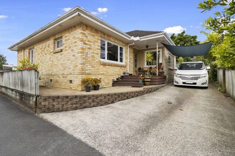 Photo of property in 17 Carey Street, Maeroa, Hamilton, 3200